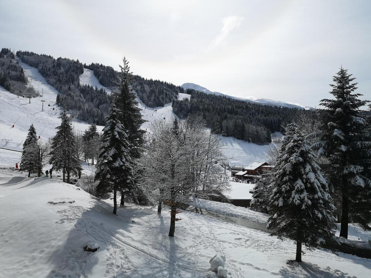 Le Balcon De Villard Dış mekan fotoğraf